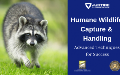 Humane Wildlife Capture & Handling: Advanced Techniques for Success