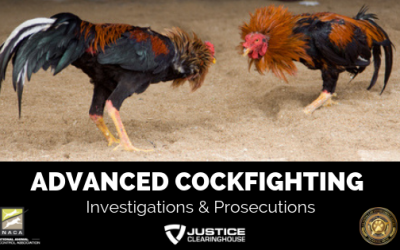 Advanced Cock Fighting Investigations and Prosecutions