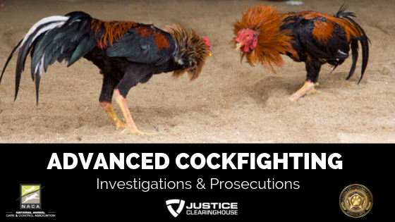 Advanced Cock Fighting Investigations and Prosecutions