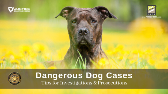 Dangerous Dog Cases, Tips on Investigations and Prosecution