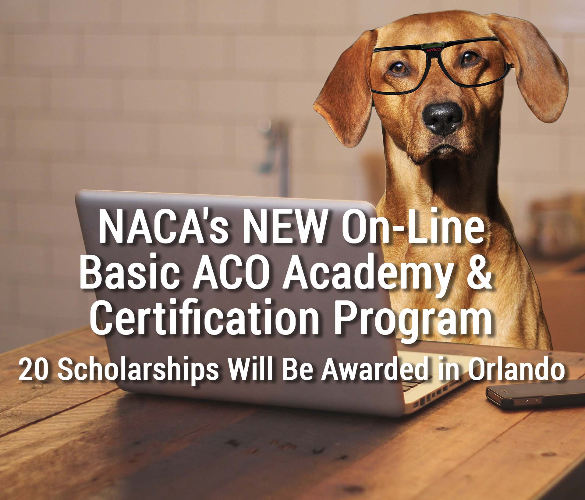 dog online certification National Animal Care Control Association