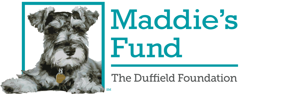 mf-logo-website